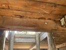 Foto: Schwamm/Pilz an dem Holz unter dem Rutschenschiff 