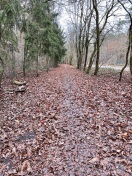 Foto: Verdreckte Radwege  