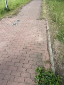 Foto: Radweg 