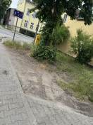 Foto: Parken auf Grünfläche Kanalstraße Ecke Luisenweg 