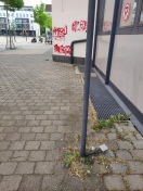 Foto: Ratten, Unkraut, Graffiti 