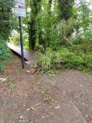 Foto: Baum versperrt Weg zum Piratenspielplatz  