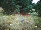 Foto: Müll im Wald  