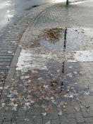 Foto: Verkehrsgefährdung durch fehlende Entwässerung an FußgängerQuerung zur Rostocker Straße 