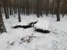 Foto: Asbestzementplatten im Wald  