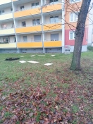 Foto: Holzplatten auf Wiese 