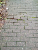Foto: Gewegschaden 