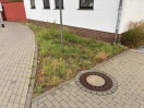 Foto: Rasenschnitt fehlt 