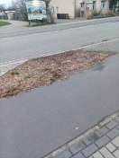 Foto: Zerfahrene Grünfläche 