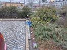 Foto: Müll in Grünflächen  