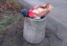 Foto: Übervolle Müllbehälter 