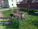Foto: Alträder im öffentlichen Straßengrünstreifen entsorgt 