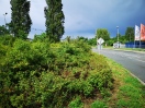 Foto: Straßenquerung nicht sicher möglich 