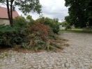 Foto: Parkplatz Kirche  