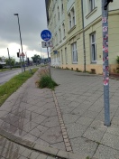 Foto: Radweg wächst zu  