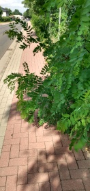 Foto: Gefahr am Fuss-und Radweg 