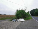 Foto: Wilde Deponie 