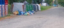 Foto: Wilde Deponie.....VOR den GLAS CONTAINERN 