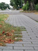 Foto: Wiederherstellung einer anforderungsgerechten Radwegbefestigung an Baumscheibe Briesker Straße  