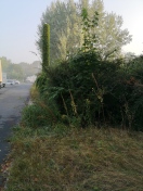 Foto: nichtbegehbarer Fußweg 