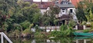 Foto: Ratten am Stadkanal Alter Hafen  