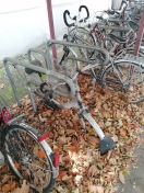 Foto: Beseitigung von funktionlosen Alt-Fahrrädern am Bahnhofsvorplatz / Laubbeseitigung 