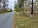 Foto: Einkaufswagen liegt im Wald  