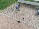 Foto: Vandalismus bzw Dummheit  