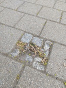 Foto: Unsachgemäß entferntes Straßenschild an der ehemaligen Bushaltestelle vorr der Schule- Verletzungsgefahr! 