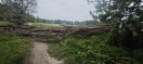 Foto: Umgefallener Baum auf Feldweg / Wanderweg &Grenzstraße 