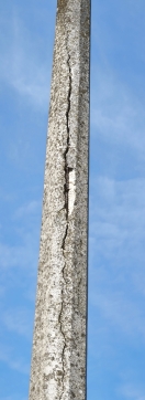 Foto: Laterne gebrochen  