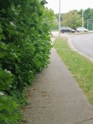Foto: Fehlender Lichtraumschnitt im nordwärts-Seitenraum in Schlachthofstraße 