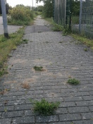 Foto: Verwilderung von öffentlich gewidmeten Gehwegen in Ziegeleistraße 
