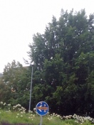 Foto: Aufkleber  