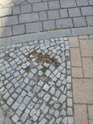 Foto: Pflaster beschädigt 
