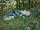 Foto: Wilde Deponie 