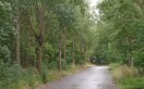 Foto: Grünschnitt, Bankettpfleg, Regenrinnen  