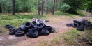 Foto: Reifen im Wald 