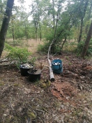 Foto: Illegal im Wald  