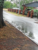 Foto: Straßenschäden durch Wurzel  