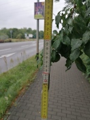 Foto: Behinderung 