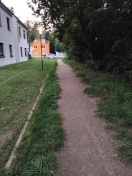 Foto: verwucherter Stichweg 