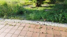Foto: Großflächig verteilte Scherben  
