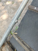 Foto: Hundeplatz  