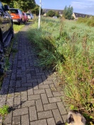 Foto: Gehweg nicht mehr begehbar + Müll 