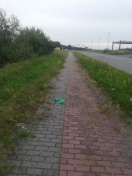 Foto: Zugewachsener Gehweg  