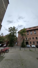 Foto: Wilder Baumwuchs schreckt Touristen ab 