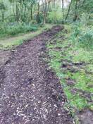 Foto: vermuteter Wildtierschaden  