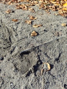 Foto: Verletzungsgefahr 