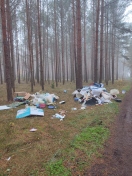 Foto: Illegale Müllentsorgung  